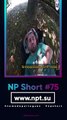 NP Short #75 | Eu ja sabia que as redes sociais censuram... -- NP Desabafo #23