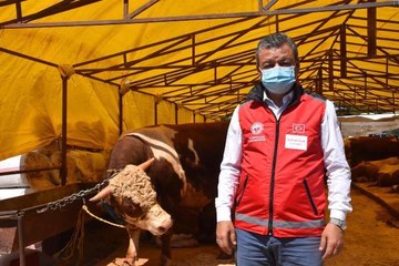 TÜM KURBANLIKLARI SATIP, ÇADIRLARINA 'BİTTİ' YAZISI ASTILAR