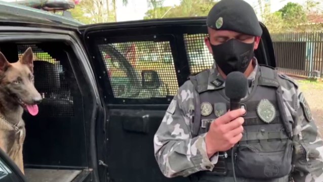 No mês aniversário de 30 anos, Pelotão de Choque promove evento para ajudar cães carentes