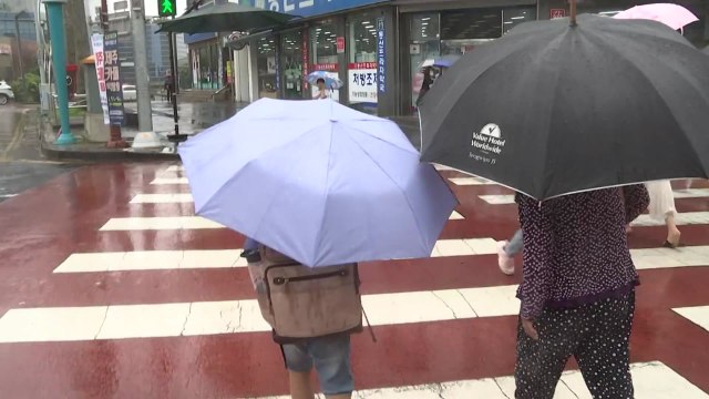 [날씨] 휴일, 무더위 속 강한 소나기...충청·남부 장맛비 / YTN
