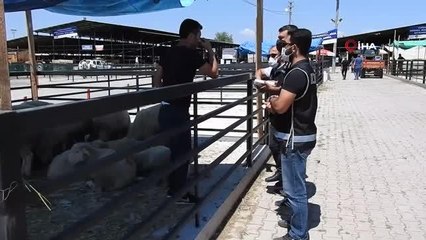 Kurbanlık pazarında sahte para farkındalık çalışması