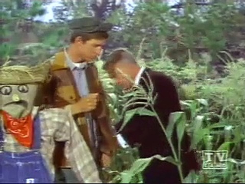 Green Acres - 033 - Wings Over Hooterville - (TV Rip)   TV Show