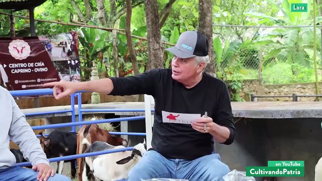 Cultivando Patria I El Club de la Cabra: producción caprina y ovina autosustentable en Lara