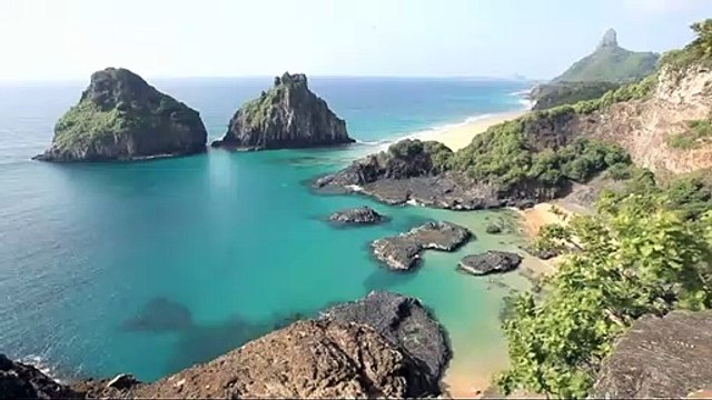 documentario vida selvagem animais / documentary wildlife animals / fauna documental animales