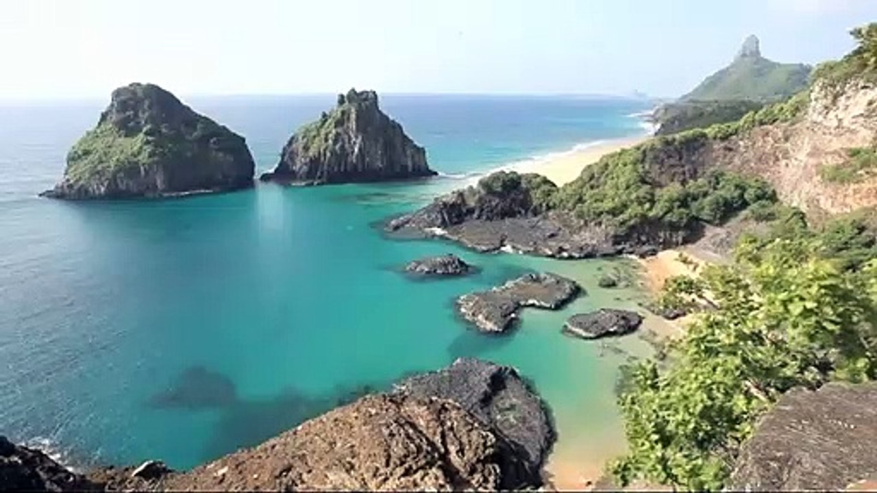 documentario vida selvagem animais  /  documentary wildlife animals  /  fauna documental animales