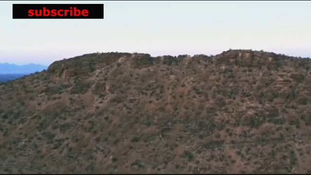 documentario vida selvagem, animais exoticos / documentary wildlife, exotic animals, the animal world / fauna documental, animales exóticos, el mundo animal.