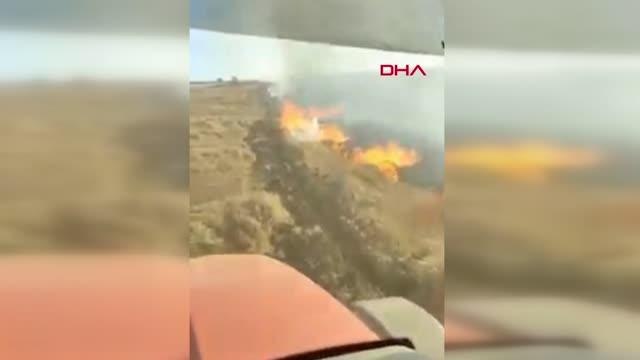 Son dakika haberleri: TEKİRDAĞ'DA ANIZ YANGININDA 400 KOVAN ARI SON ANDA KURTARILDI