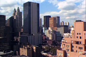 Green Acres - 005 - My Husband, The Rooster Renter   TV Show