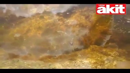 Suda ölümcül mücadele