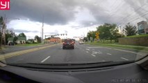 Cute Ducks Cross Rainy Road