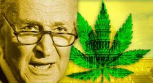 Top Senate Democrats Propose Plan for Federal Marijuana Decriminalization
