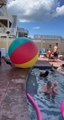 Little Boy Gets Knocked Down by Giant Beach Ball While Trying to Catch it