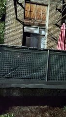 Lousy Neighbor Covers Common Area with Thumbtacks