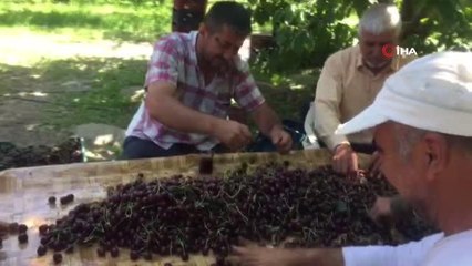 Hasadın tek eğlencesi radyo dinlemek