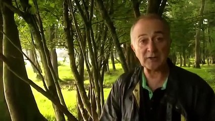 12. Time Team Specials S19-E02 Geophysics Compilation