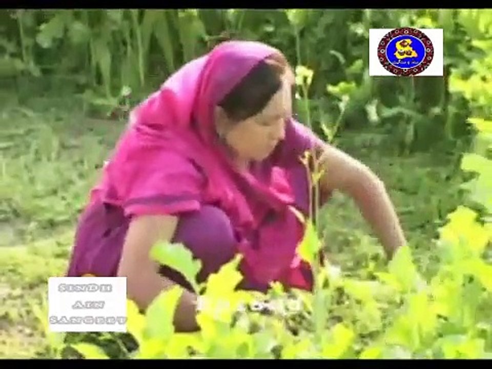 Pahinja Parawa Episode 8 | پنھنجا پراوا قسط 8 | Sindhi Drama Serial | Sindhi Soap Serial Dramas