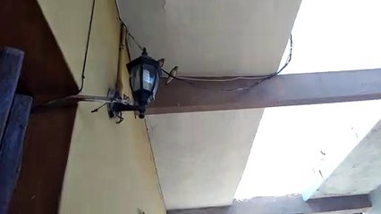 Golondrinas en Mazatlán | 14 de Julio del 2021 | Parte 2