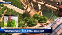 Producen hortalizas con el sistema hidropónico