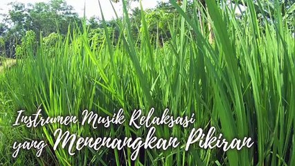 #31 Instrumen Musik Relaksasi yang Menenangkan Pikiran