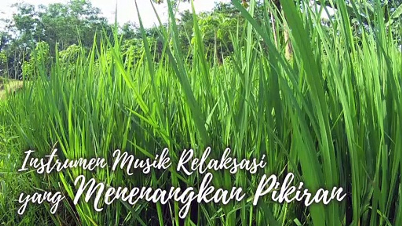 #31 Instrumen Musik Relaksasi yang Menenangkan Pikiran