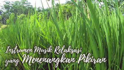 #33 Instrumen Musik Relaksasi yang Menenangkan Pikiran