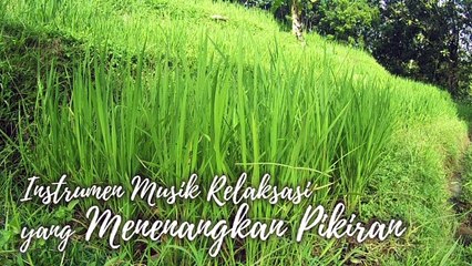 #35 Instrumen Musik Relaksasi yang Menenangkan Pikiran