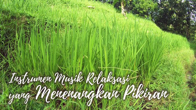 #36 Instrumen Musik Relaksasi yang Menenangkan Pikiran