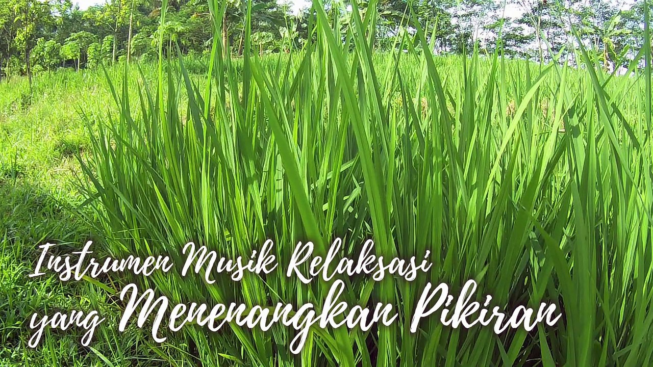 #37 Instrumen Musik Relaksasi yang Menenangkan Pikiran