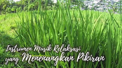 #38 Instrumen Musik Relaksasi yang Menenangkan Pikiran