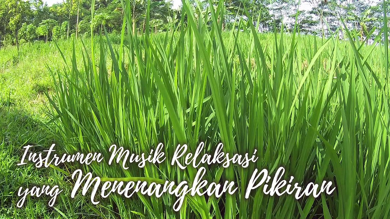 #39 Instrumen Musik Relaksasi yang Menenangkan Pikiran