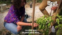 Jardiner ensemble et partager les récoltes, c'est le co-jardinage