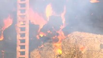 Los bomberos trabajan en la extinción de un incendio que afecta a una cooperativa agrícola de Tauste (Zaragoza)