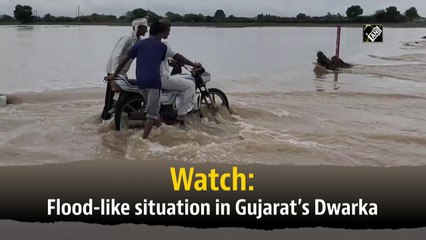 Watch: Flood-like situation in Gujarat’s Dwarka