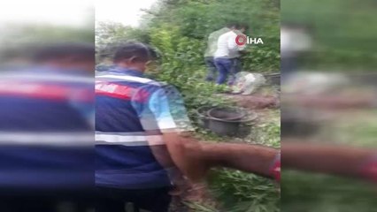 Son dakika haberi: Jandarmadan uyuşturucu operasyonu