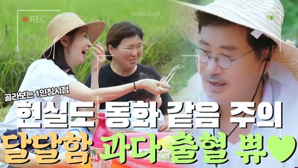 ㄹㅣ얼 이게 가능,,? 일상에 달달함 국자로 때려 박은 진짜 동화 같은 ♡동화 부부♡ (feat. 막걸리먹방)