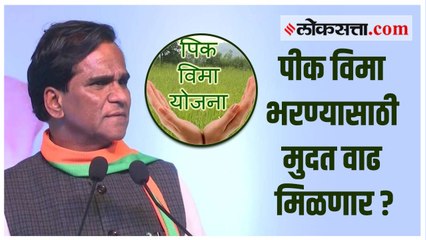 पीक विमा भरण्यासाठी मुदत वाढ देण्यासाठी केंद्र सकारात्मक; राज्याने यासंबंधी प्रस्ताव पाठवावा