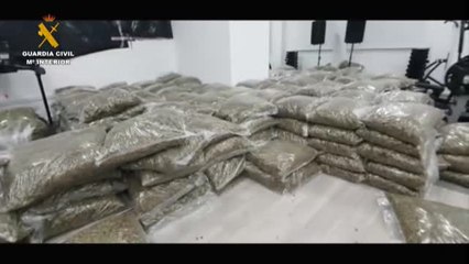 Halladas en Almería más de 5 toneladas y media de marihuana envasada