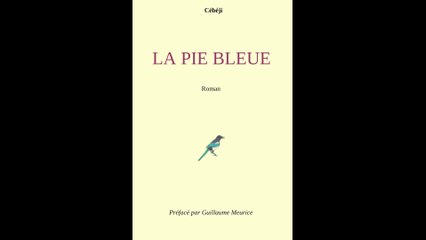 La Pie Bleue (roman)