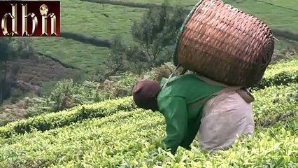 Agriculture Cabinet Secretary Peter Munya says, Collapse Of Tea Prices Blamed On High Production