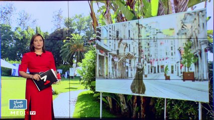 صباح الأخبار - 15/07/2021