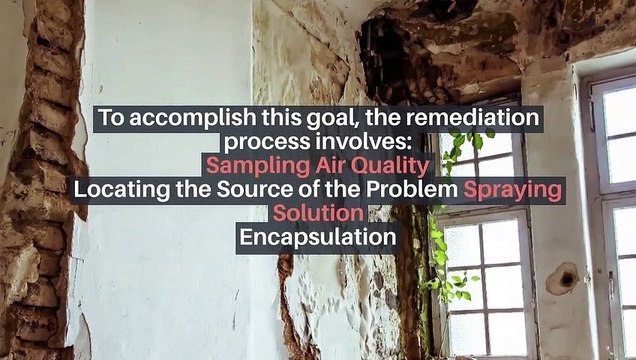 Know the differences between Mold Removal And Mold Remediation