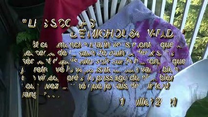LES SCOOPS DE MICHOU64 W-D.D. - 11 JUILLET 2021 - PAU - QUI CHERCHE TROUVE !