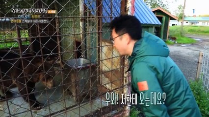 세계테마기행 - 아틱 로드- 백야의 땅, 라플란드_#002