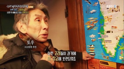 세계테마기행 - 아틱 로드- 행복한 얼음 왕국, 그린란드_#002