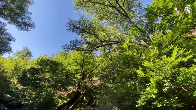 Leonor y Sofía, de lo más cómplices, hacen frente a su primer acto en solitario. GTRES
