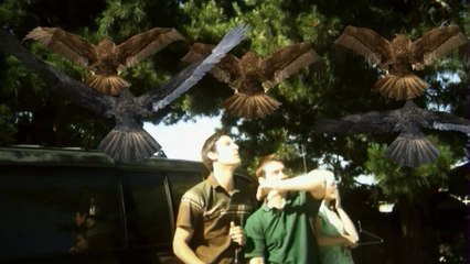 The "Best" of Birdemic: Shock and Terror! (2010) - REUPLOAD