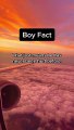 Boy Facts | Facts For Boy | Factz