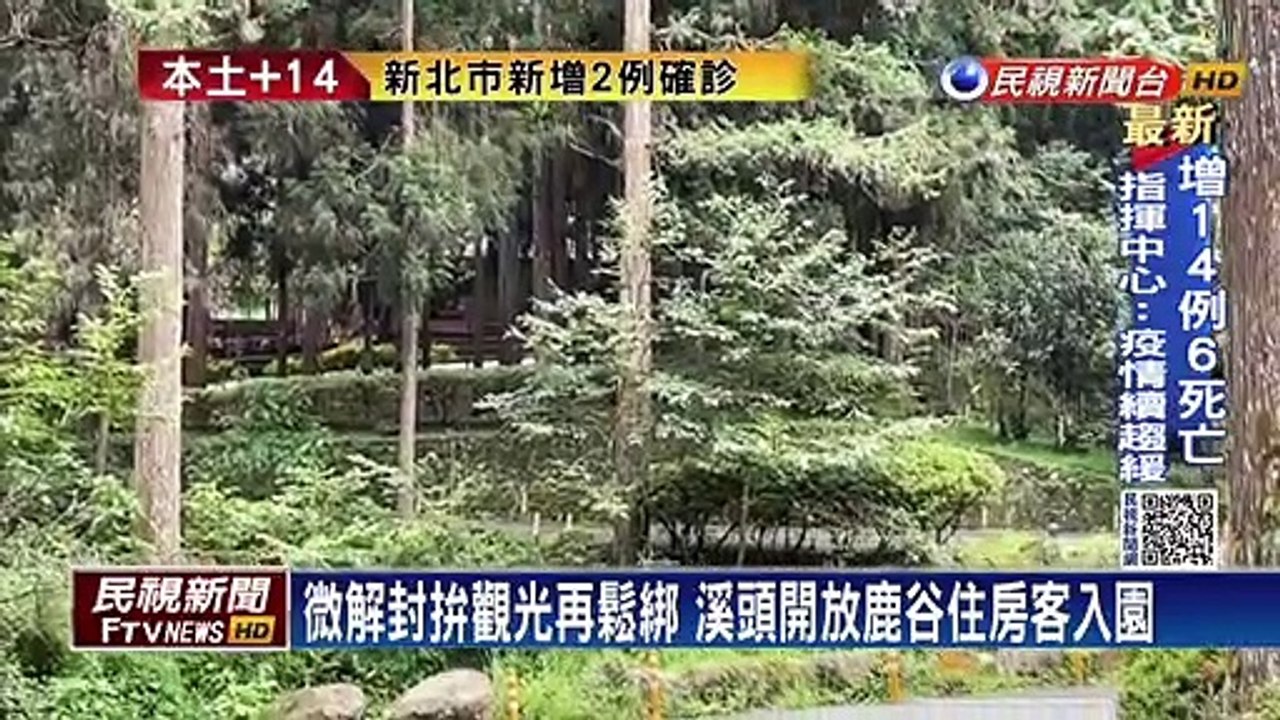 微解封拚觀光再鬆綁　溪頭開放鹿谷住房客入園