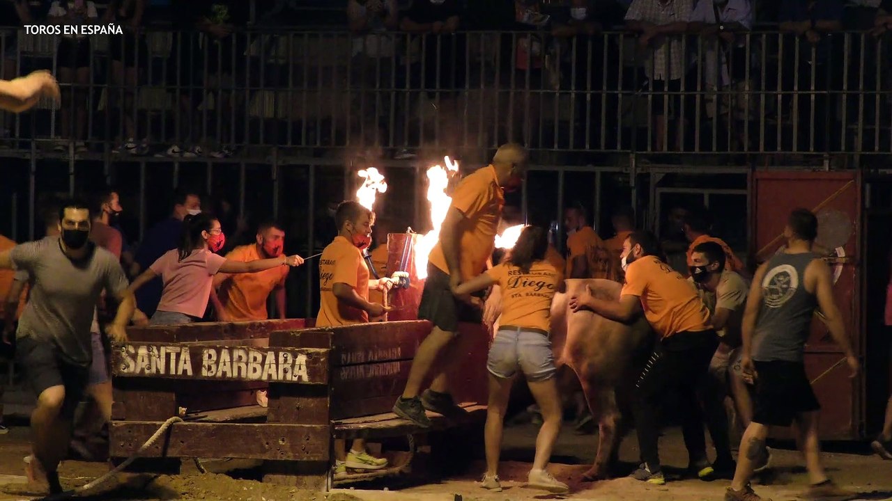 Santa Barbara - Toro embolado viernes 9 de julio de 2021