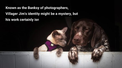 Known as the Banksy of photographers, Villager Jim's identity might be a mystery, but his work certainly isn't